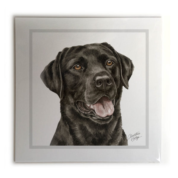 Black Labrador Dog Picture / Print