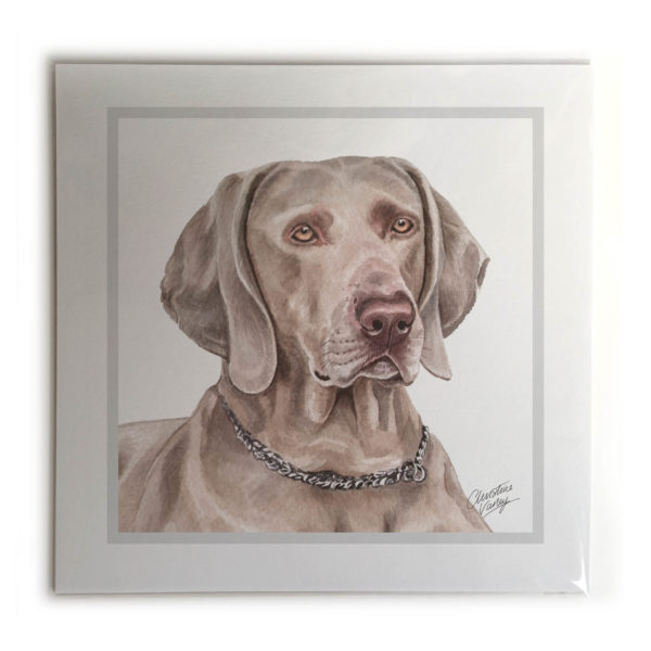 Weimaraner Dog Picture / Print