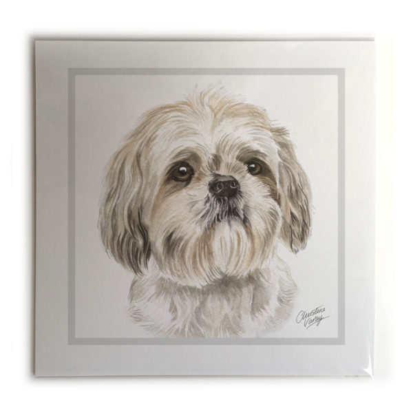 Shih Tzu Dog Picture / Print