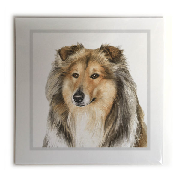 Rough Collie Dog Picture / Print