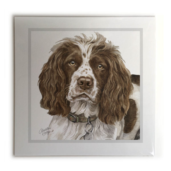 Springer Spaniel Dog Picture / Print