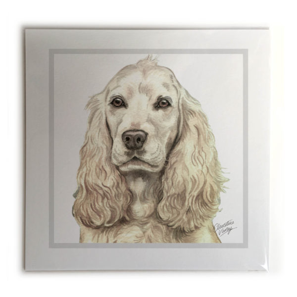 Cocker Spaniel Dog Picture / Print