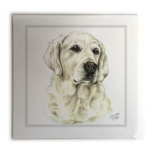 Golden Retriever Dog Picture / Print