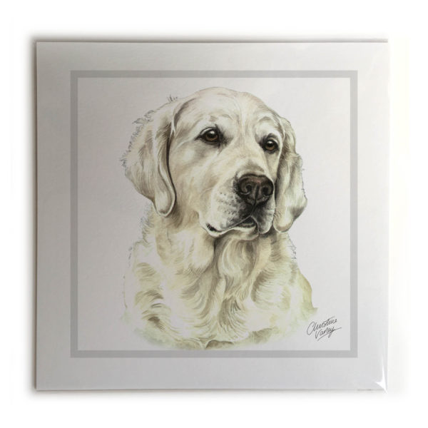 Golden Retriever Dog Picture / Print