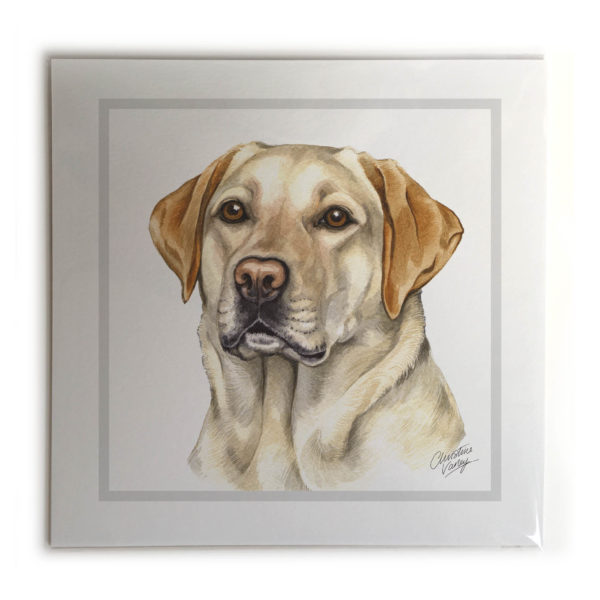 Golden Labrador Dog Picture / Print