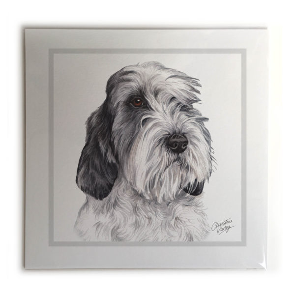 Petit Basset Griffon Vendeen Dog Picture / Print