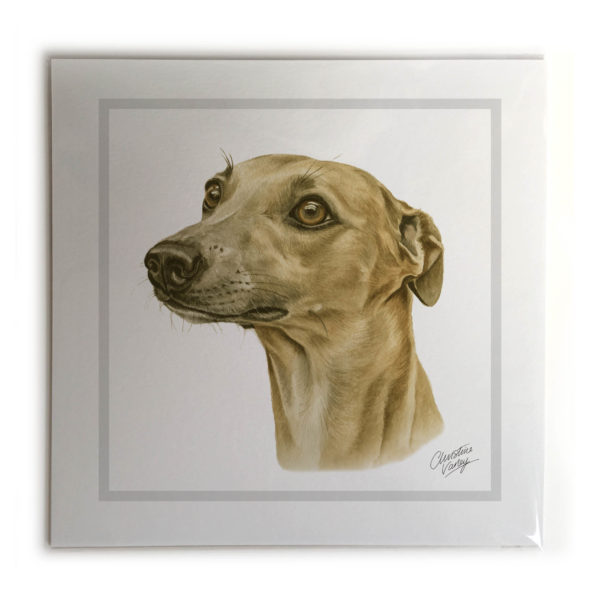 Whippet Dog Picture / Print