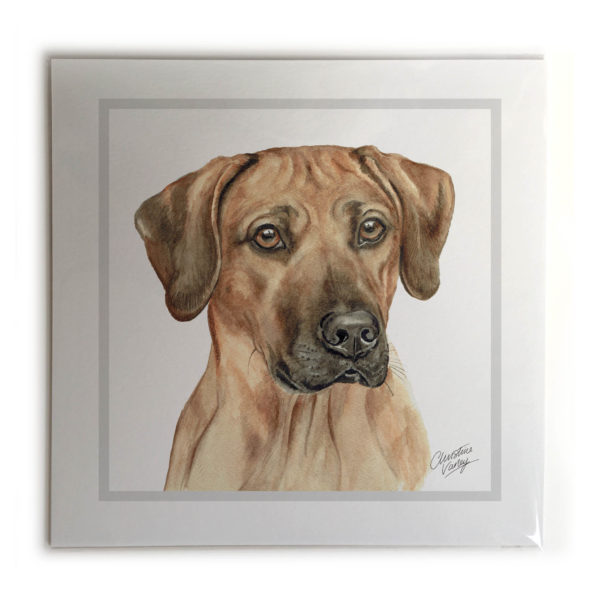 Rhodesian Ridgeback Dog Picture / Print