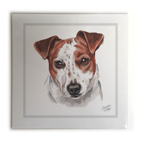 Jack Russell Dog Picture / Print