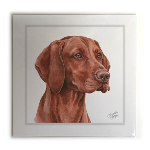 Hungarian Vizsla Dog Picture / Print