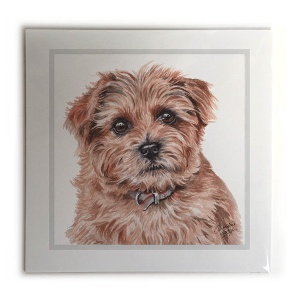 Norfolk Terrier Dog Picture / Print