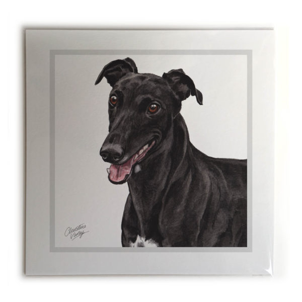 Greyhound Dog Picture / Print