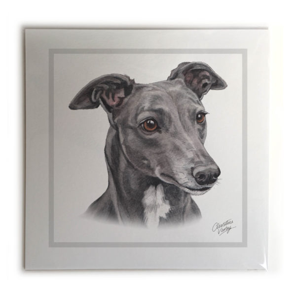 Greyhound Dog Picture / Print