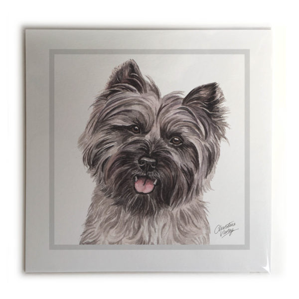 Cairn Terrier Dog Picture / Print