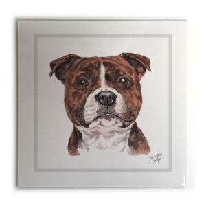 Staffordshire Bull Terrier Dog Picture / Print