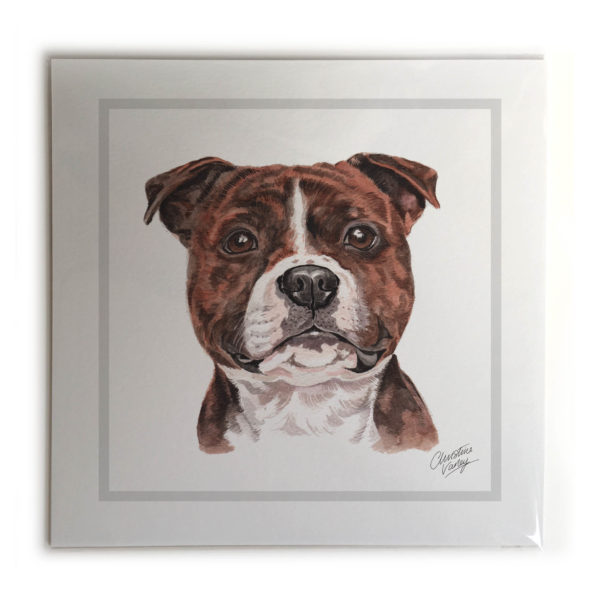 Staffordshire Bull Terrier Dog Picture / Print