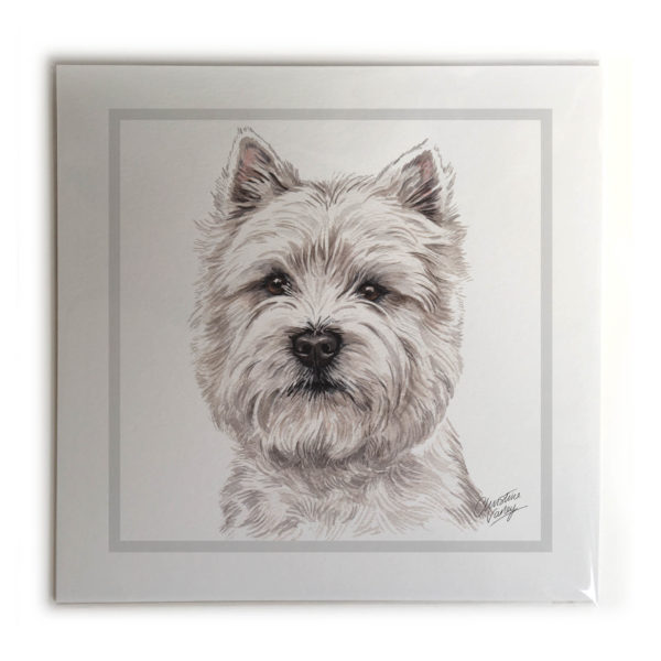 West Highland Terrier Dog Picture / Print