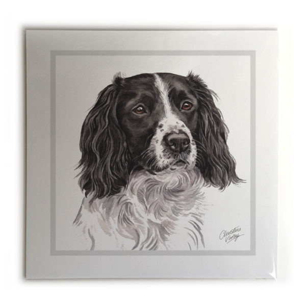 Springer Spaniel Dog Picture / Print