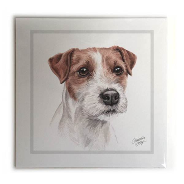 Parson Jack Russell Dog Picture / Print