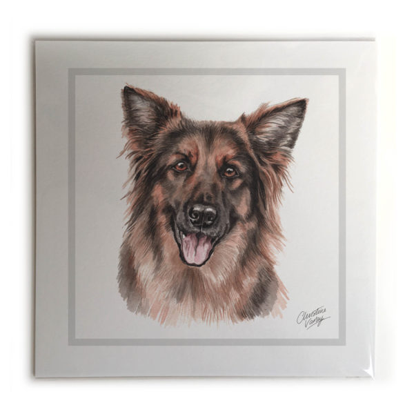 German Shepherd Dog Picture / Print