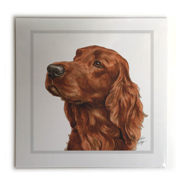 Irish Setter Dog Picture / Print