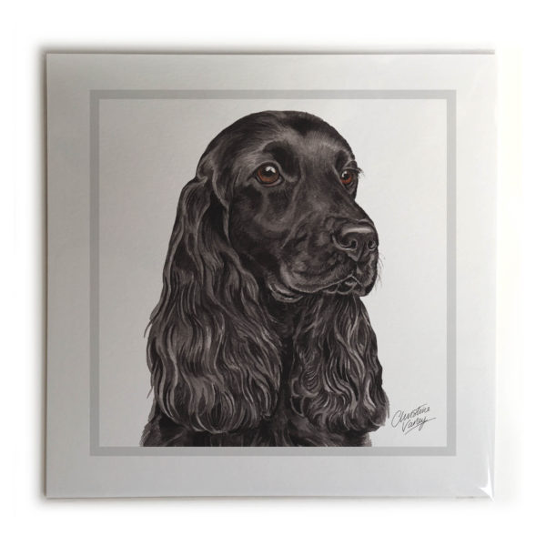 Cocker Spaniel Dog Picture / Print