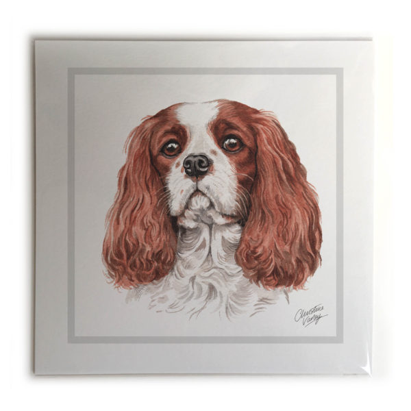 Cavalier King Charles Spaniel Dog Picture / Print