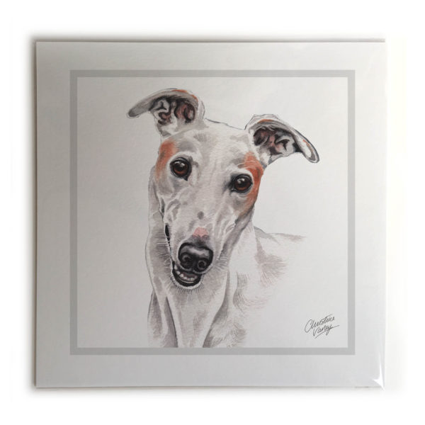 Greyhound Dog Picture / Print