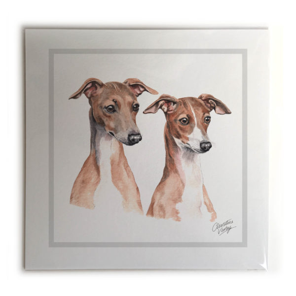 Italian Greyhound Dog Picture / Print