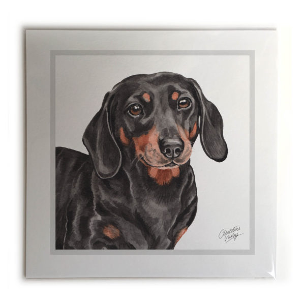 Dachshund Dog Picture / Print