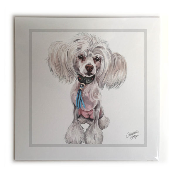Chinese Crested Dog Picture / Print