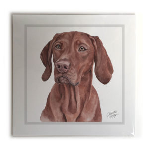 Hungarian Vizsla Dog Picture / Print