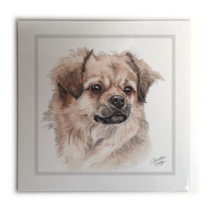 Tibetan Spaniel Dog Picture / Print
