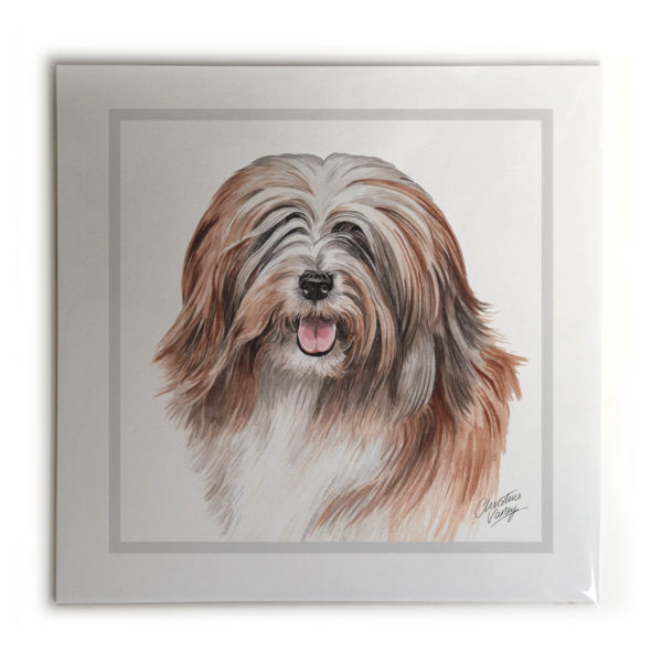 Tibetan Terrier Dog Picture / Print