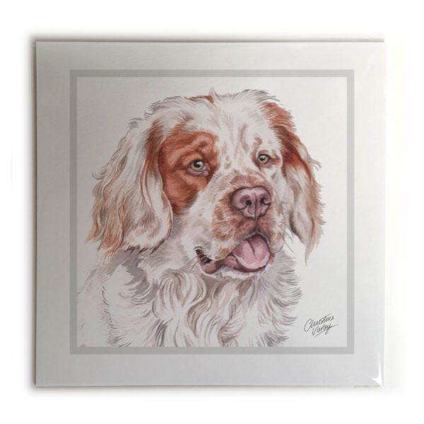 Clumber Spaniel Dog Picture / Print