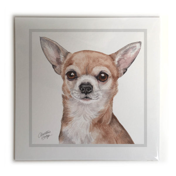 Chihuahua Dog Picture / Print