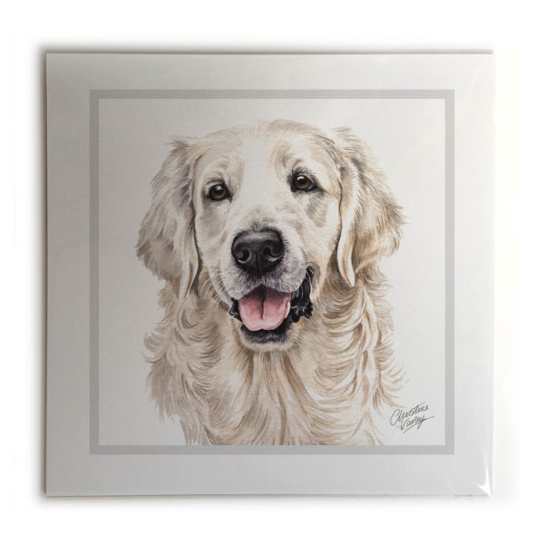 Golden Retriever Dog Picture / Print