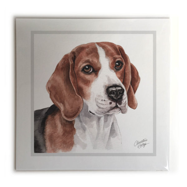 Beagle Dog Picture / Print