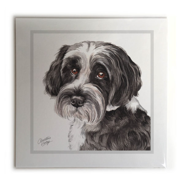 Tibetan Terrier Dog Picture / Print