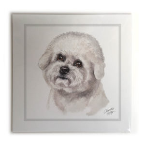 Bichon Frise Dog Picture / Print