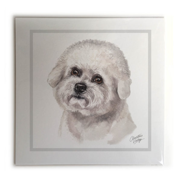 Bichon Frise Dog Picture / Print