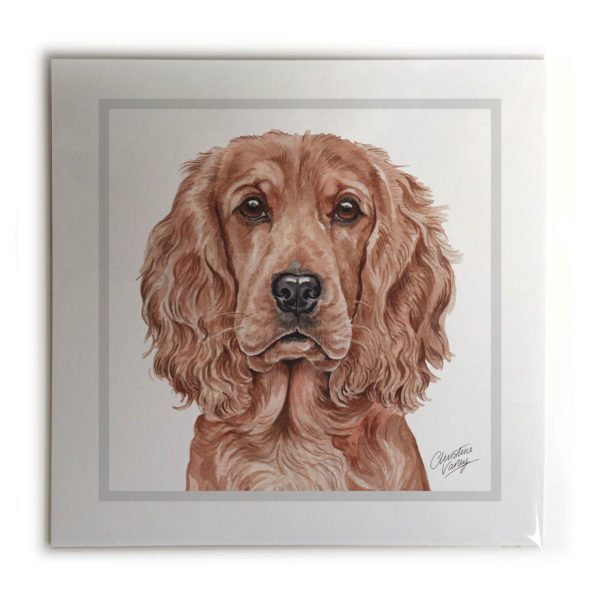 Cocker Spaniel Dog Picture / Print