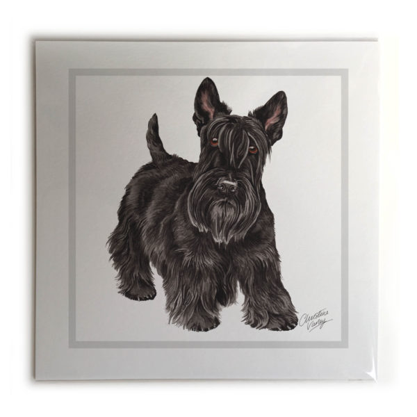 Scottish Terrier Dog Picture / Print