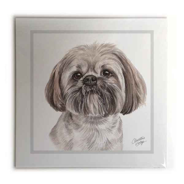 Lhasa Apso Dog Picture / Print