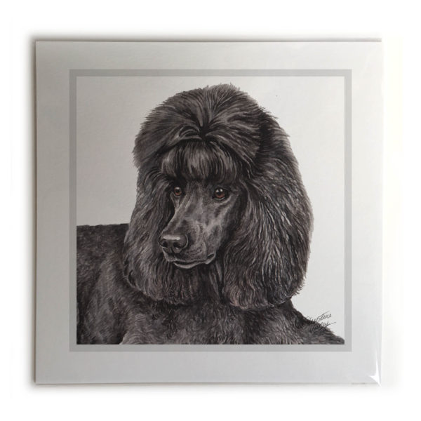 Black Poodle Dog Picture / Print
