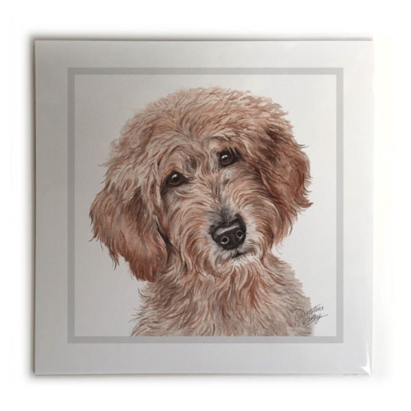 Labradoodle Dog Picture / Print