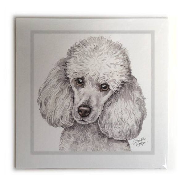 Miniature Poodle Dog Picture / Print