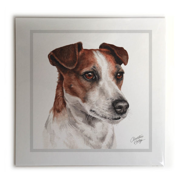 Jack Russell Dog Picture / Print