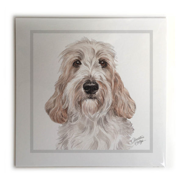 Petit Basset Griffon Vendeen Dog Picture / Print