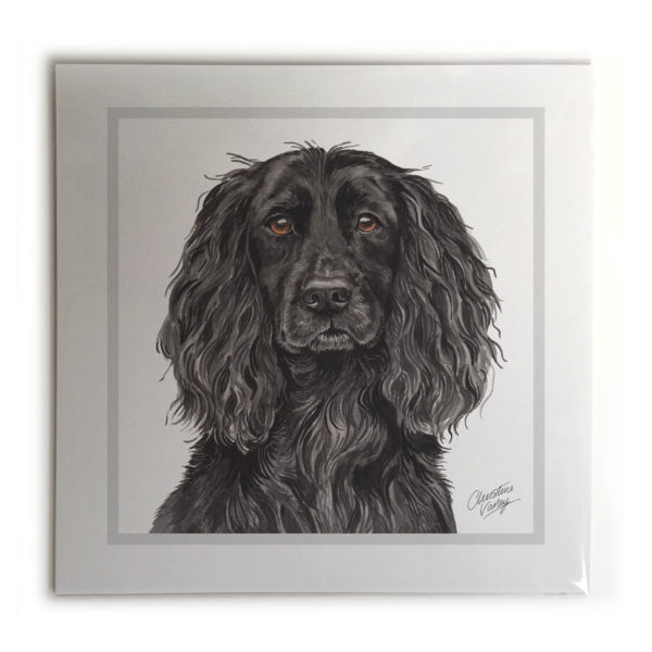 Working Cocker Spaniel Dog Picture / Print